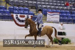 25R1516_03249 thumbnail