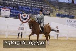 25R1516_03250 thumbnail