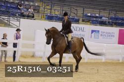 25R1516_03251 thumbnail