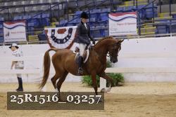 25R1516_03257 thumbnail