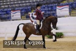 25R1516_03262 thumbnail