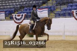 25R1516_03266 thumbnail