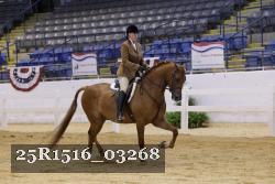 25R1516_03268 thumbnail
