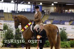 25R1516_03271 thumbnail