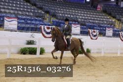 25R1516_03276 thumbnail