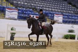 25R1516_03281 thumbnail