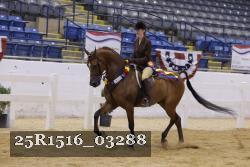 25R1516_03288 thumbnail