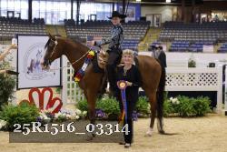25R1516_03314 thumbnail