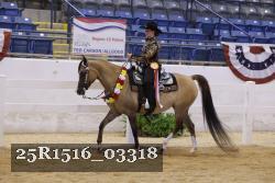 25R1516_03318 thumbnail