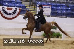 25R1516_03336 thumbnail
