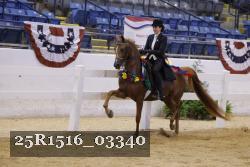 25R1516_03340 thumbnail