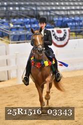 25R1516_03343 thumbnail
