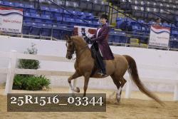 25R1516_03344 thumbnail