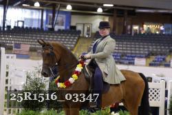 25R1516_03347 thumbnail