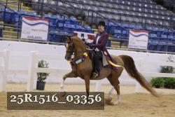 25R1516_03356 thumbnail