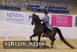 25R1516_03366 thumbnail