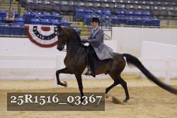 25R1516_03367 thumbnail