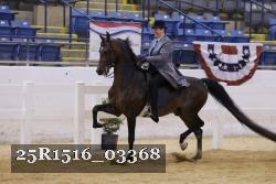 25R1516_03368 thumbnail