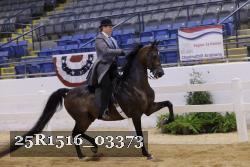 25R1516_03373 thumbnail