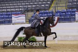 25R1516_03374 thumbnail