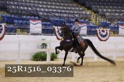 25R1516_03376 thumbnail
