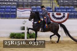 25R1516_03377 thumbnail