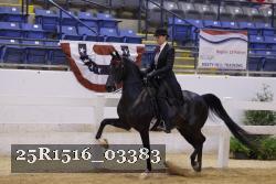 25R1516_03383 thumbnail