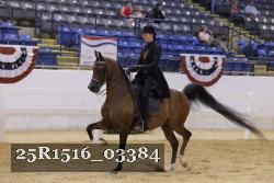 25R1516_03384 thumbnail