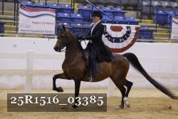 25R1516_03385 thumbnail