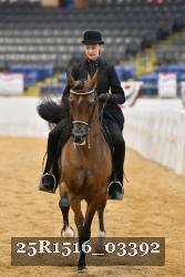 25R1516_03392 thumbnail