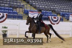 25R1516_03394 thumbnail