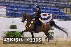 25R1516_03395 thumbnail