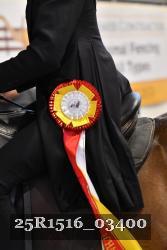 25R1516_03400 thumbnail