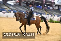 25R1516_03411 thumbnail