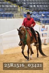 25R1516_03421 thumbnail