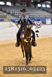 25R1516_03423 thumbnail