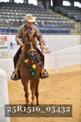 25R1516_03432 thumbnail