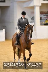 25R1516_03437 thumbnail