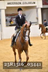 25R1516_03441 thumbnail