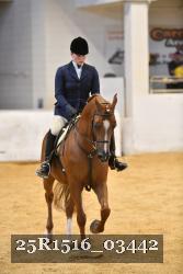25R1516_03442 thumbnail