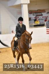 25R1516_03443 thumbnail