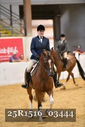 25R1516_03444 thumbnail