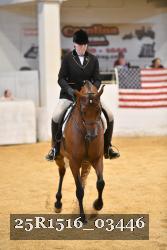 25R1516_03446 thumbnail
