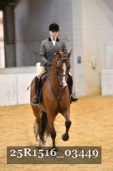 25R1516_03449 thumbnail