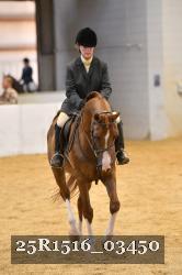 25R1516_03450 thumbnail