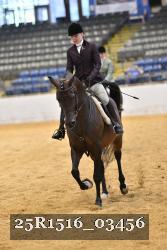 25R1516_03456 thumbnail