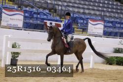 25R1516_03464 thumbnail
