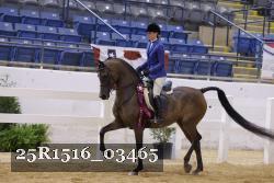 25R1516_03465 thumbnail