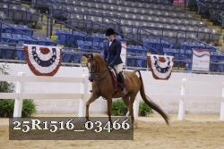 25R1516_03466 thumbnail
