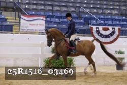 25R1516_03469 thumbnail